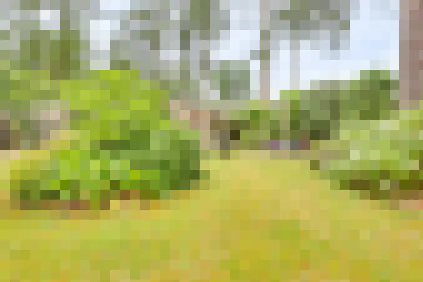 Vordenseweg 6 H318 Lochem thumbnail 35
