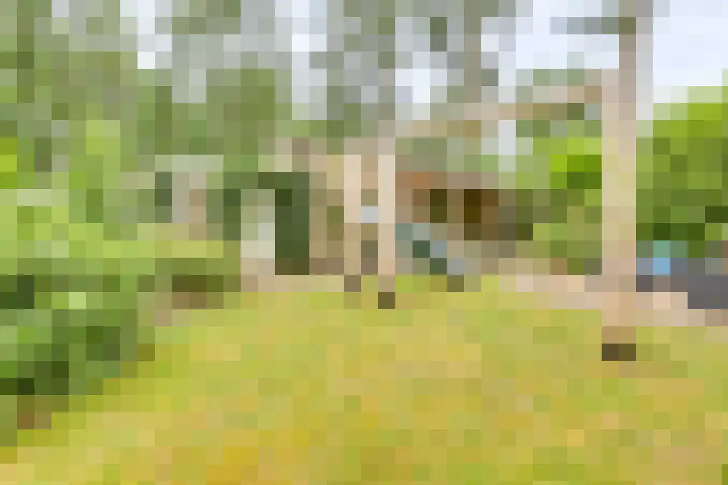 Vordenseweg 6 H318 Lochem thumbnail 36