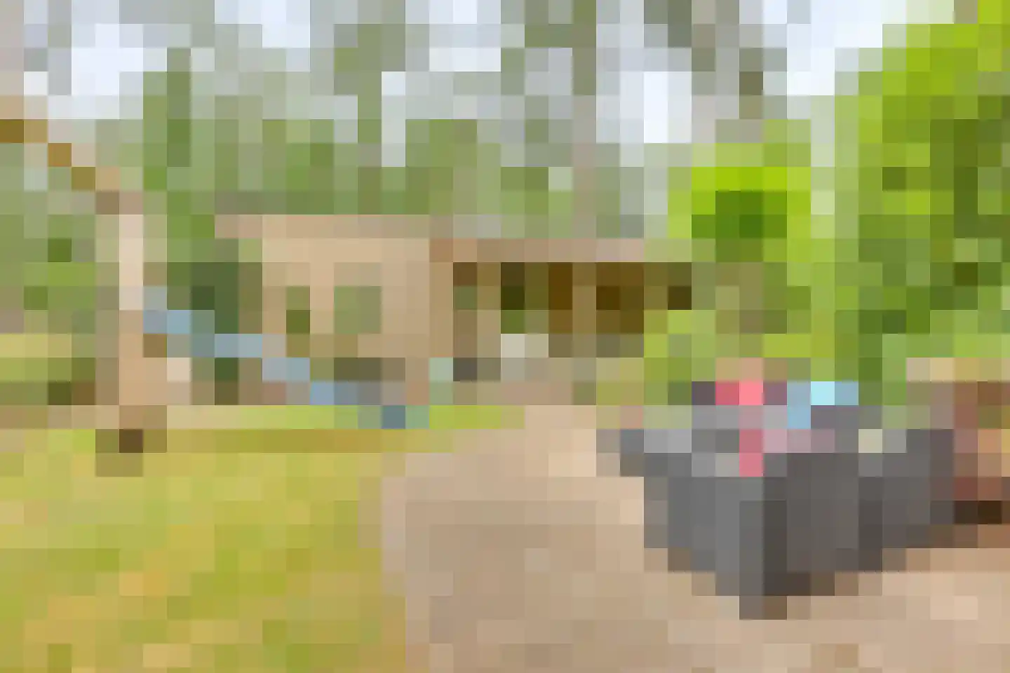 Vordenseweg 6 H318 Lochem thumbnail 38