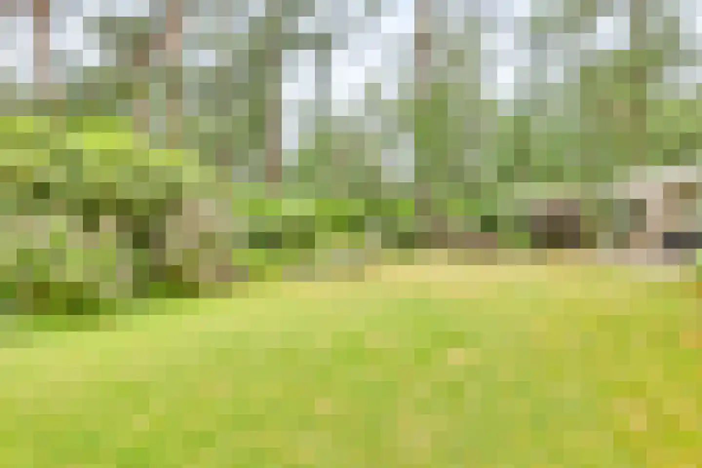 Vordenseweg 6 H318 Lochem thumbnail 4