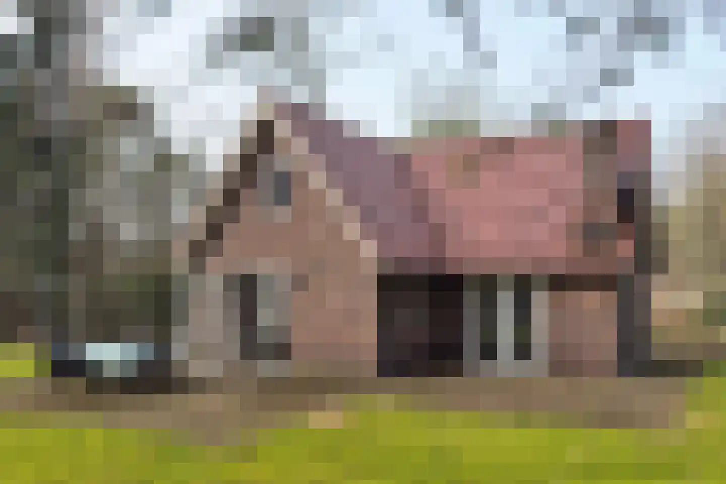 Vordenseweg 6 H326 Lochem thumbnail 16