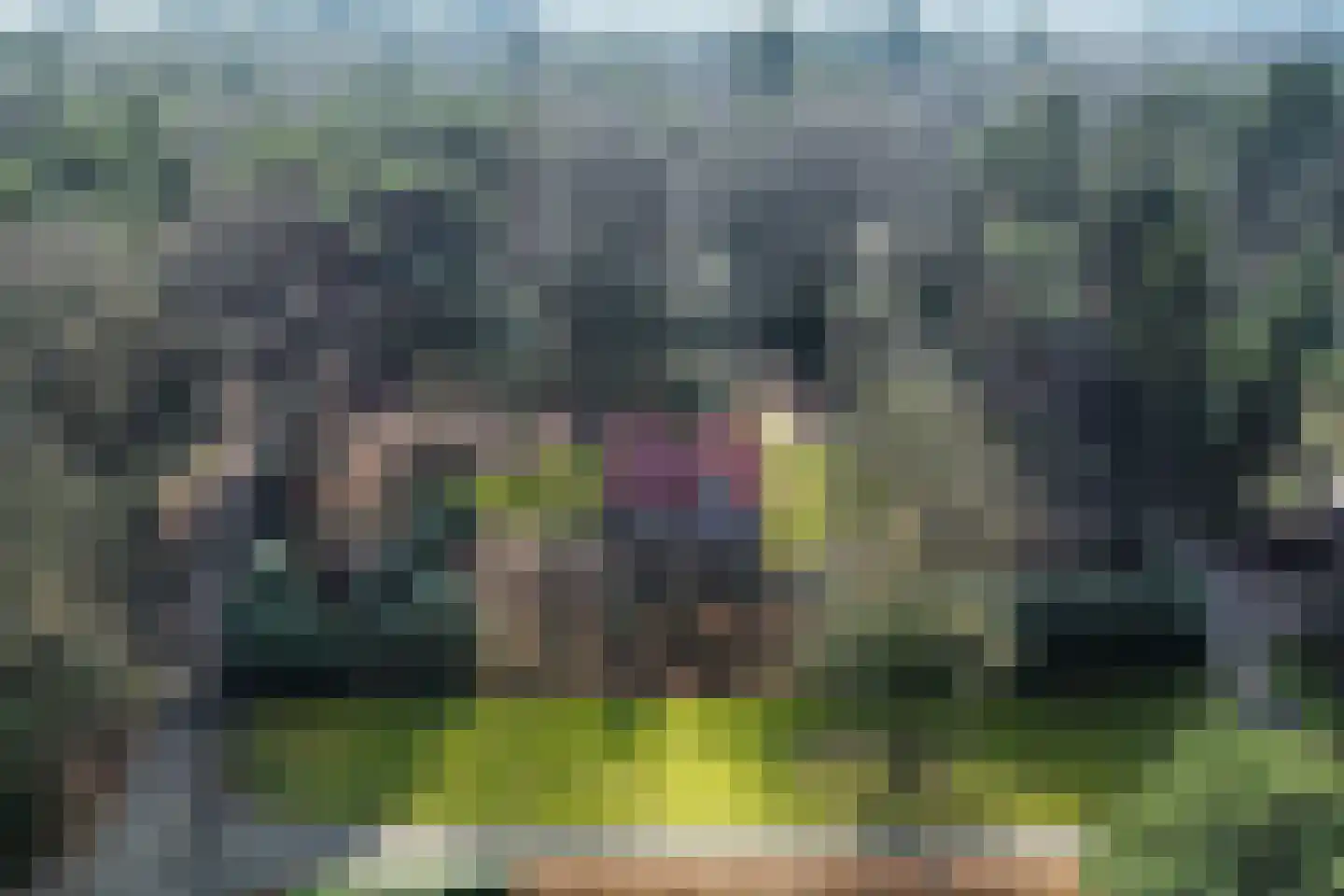 Vordenseweg 6 H326 Lochem thumbnail 17
