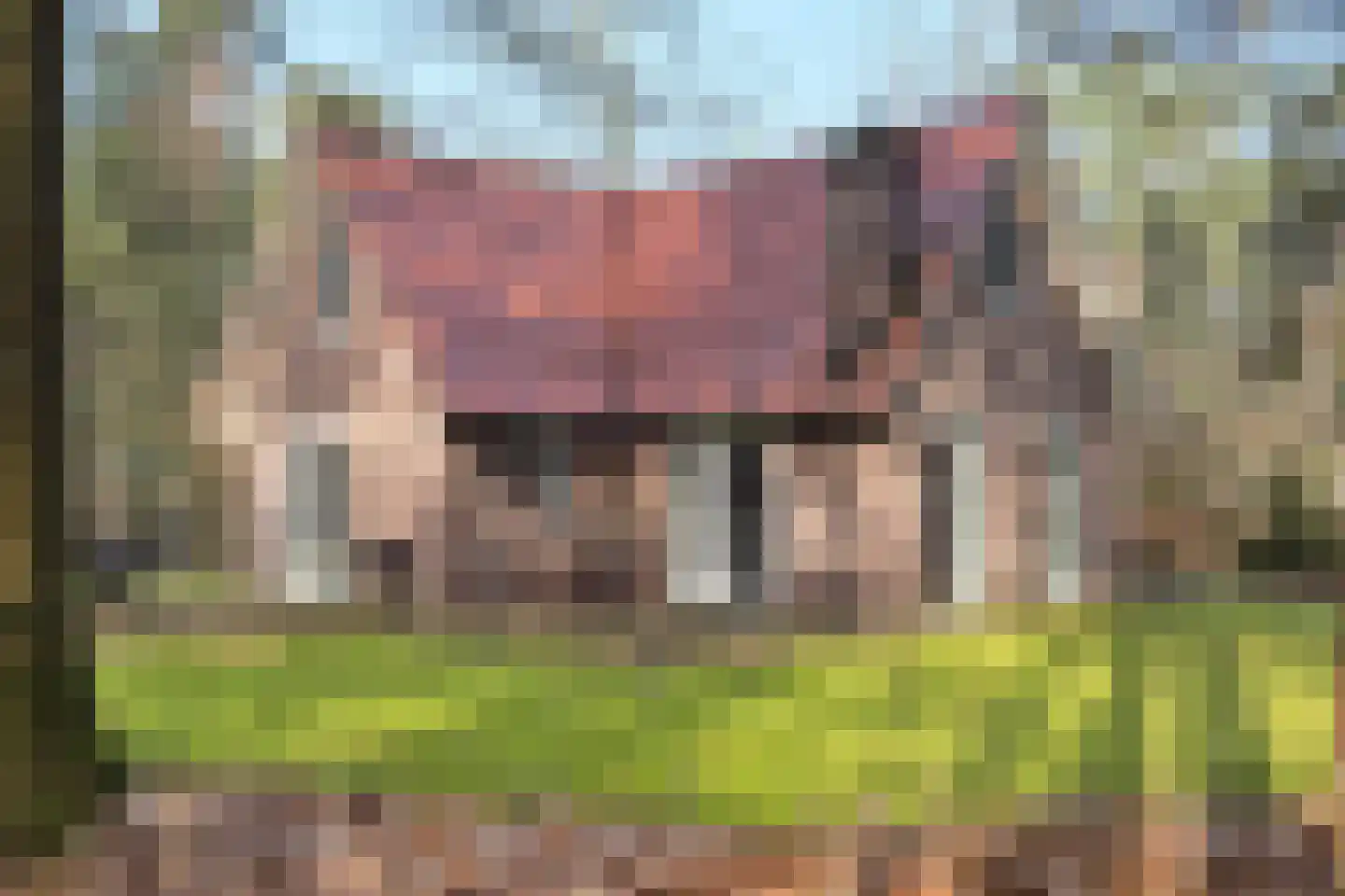 Vordenseweg 6 H326 Lochem thumbnail 19