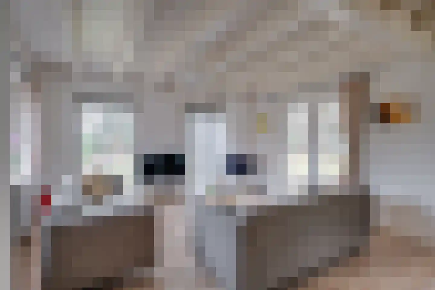 Vordenseweg 6 H326 Lochem thumbnail 4