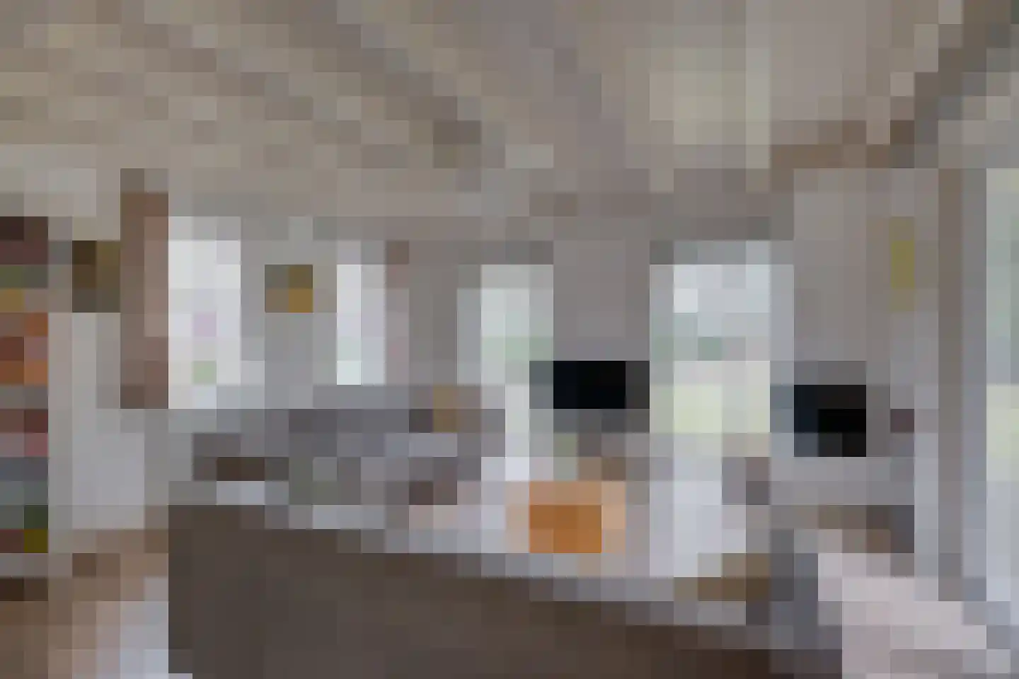 Vordenseweg 6 H326 Lochem thumbnail 5