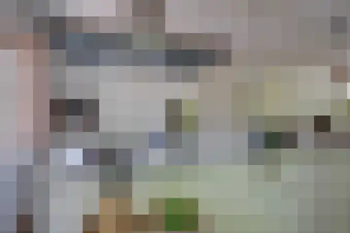 Vordenseweg 6 H413 Lochem thumbnail 10