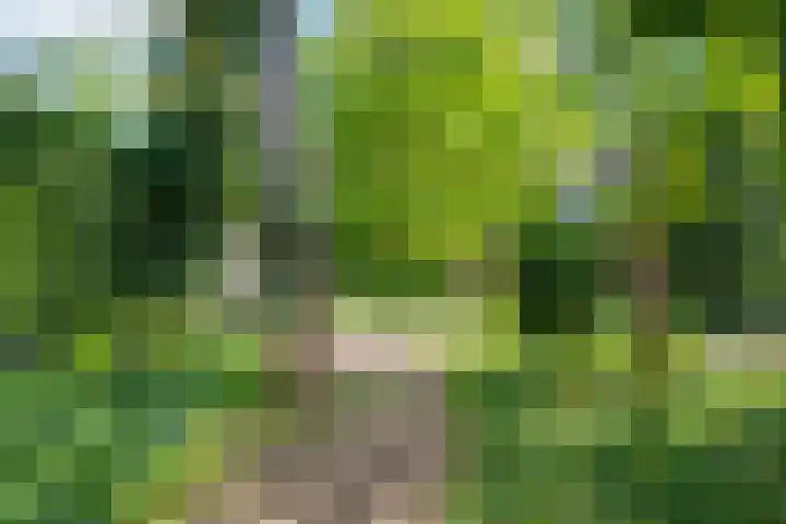 Vordenseweg 6 H413 Lochem thumbnail 17