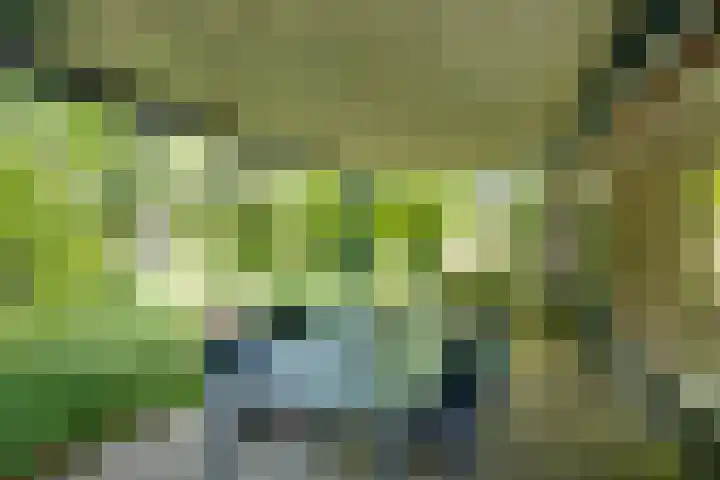Vordenseweg 6 H413 Lochem thumbnail 19