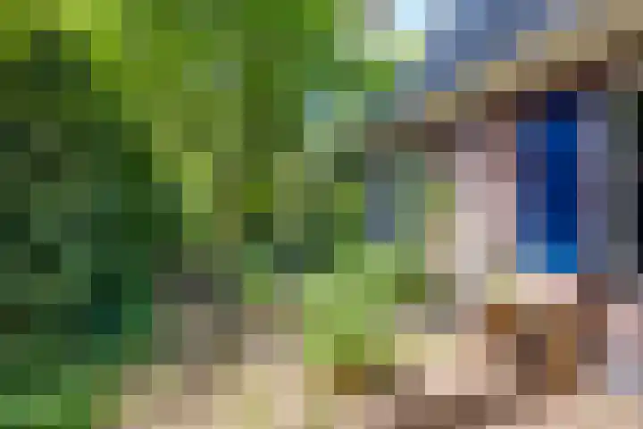 Vordenseweg 6 H413 Lochem thumbnail 21