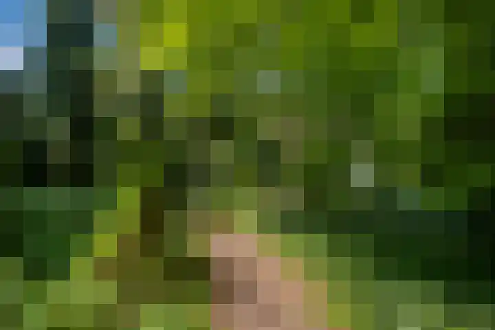 Vordenseweg 6 H413 Lochem thumbnail 22