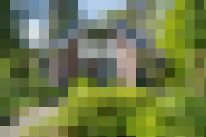 Vordenseweg 6 H413 Lochem thumbnail 26