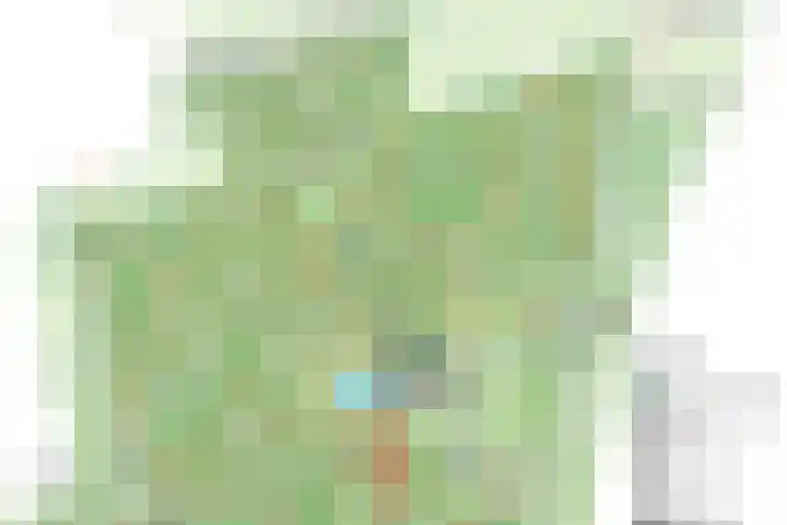 Vordenseweg 6 H413 Lochem thumbnail 30