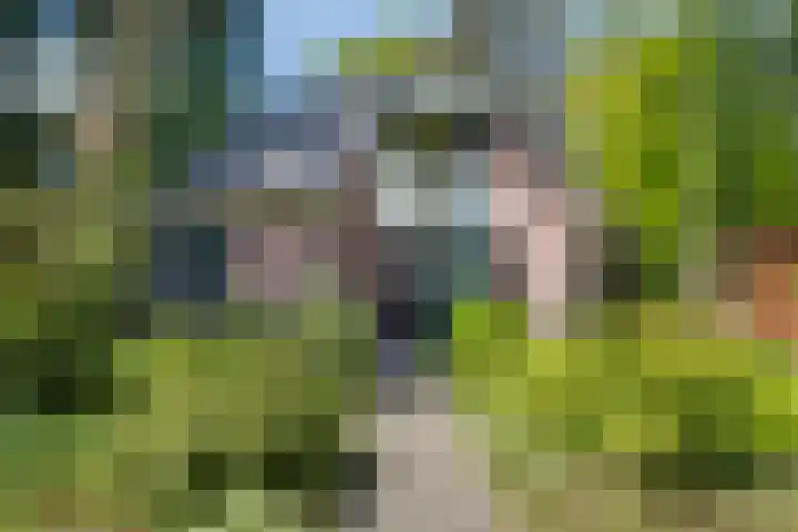 Vordenseweg 6 H413 Lochem thumbnail 31