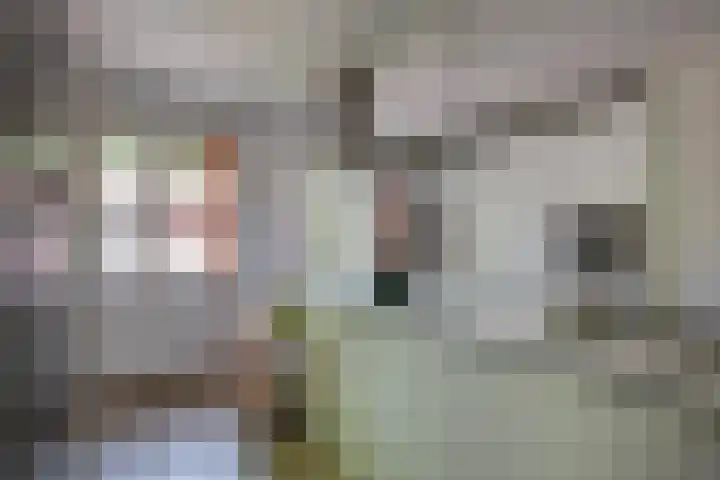 Vordenseweg 6 H413 Lochem thumbnail 9
