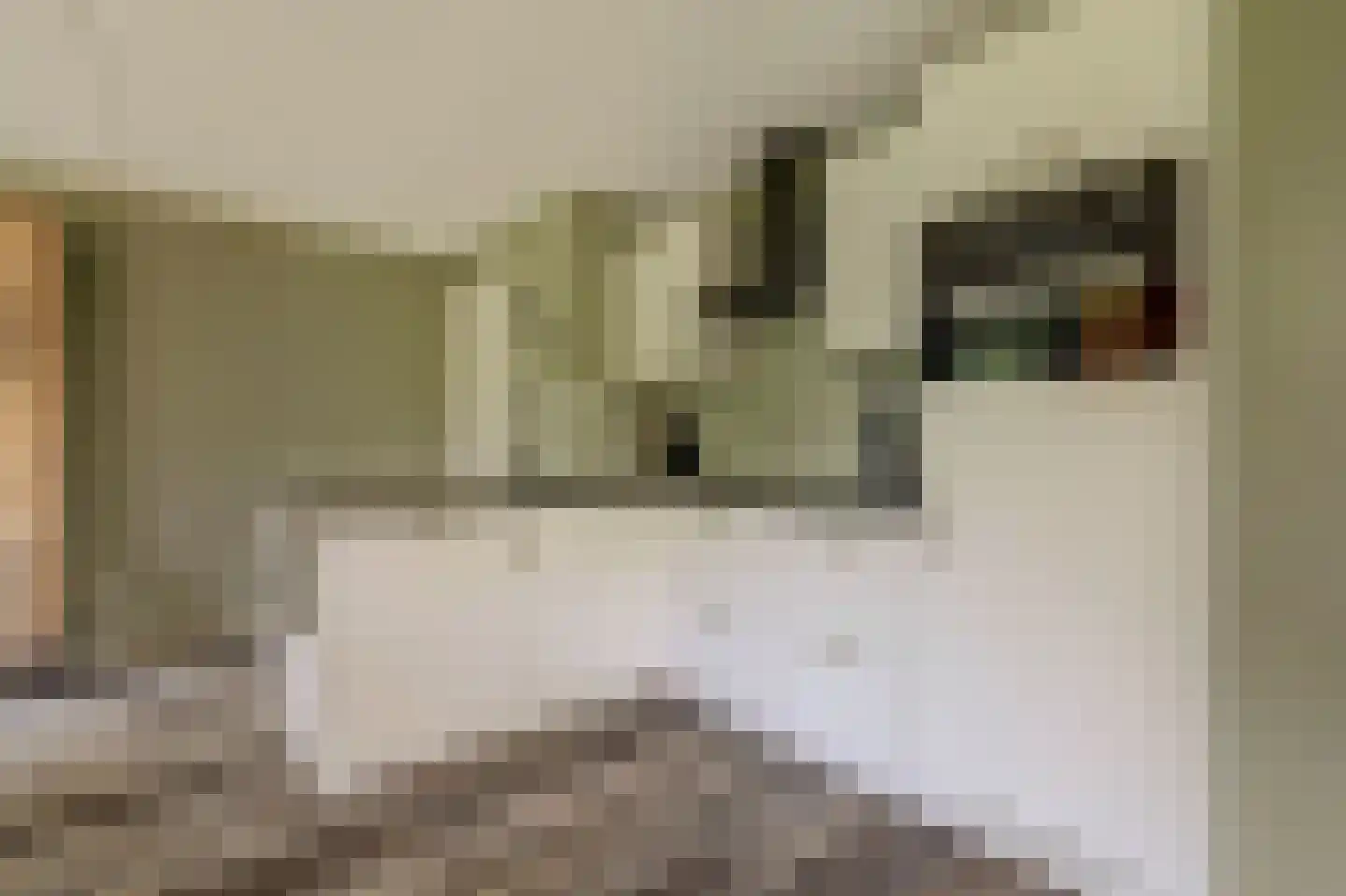 Vordenseweg 6 H557 Lochem thumbnail 11