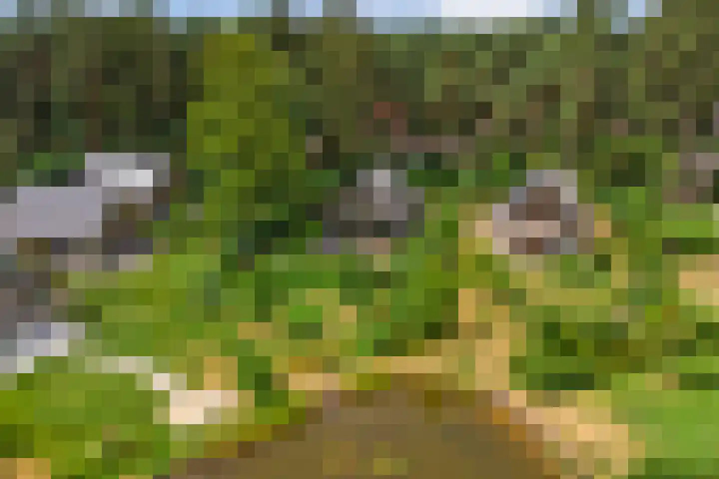 Vordenseweg 6 H557 Lochem thumbnail 20