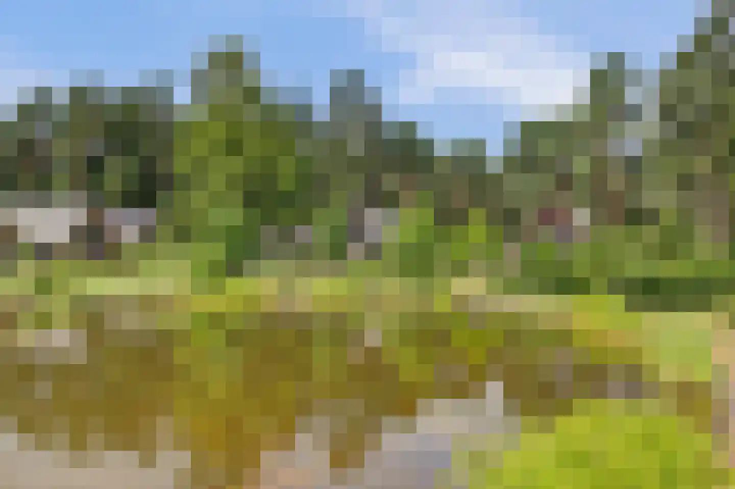 Vordenseweg 6 H557 Lochem thumbnail 22
