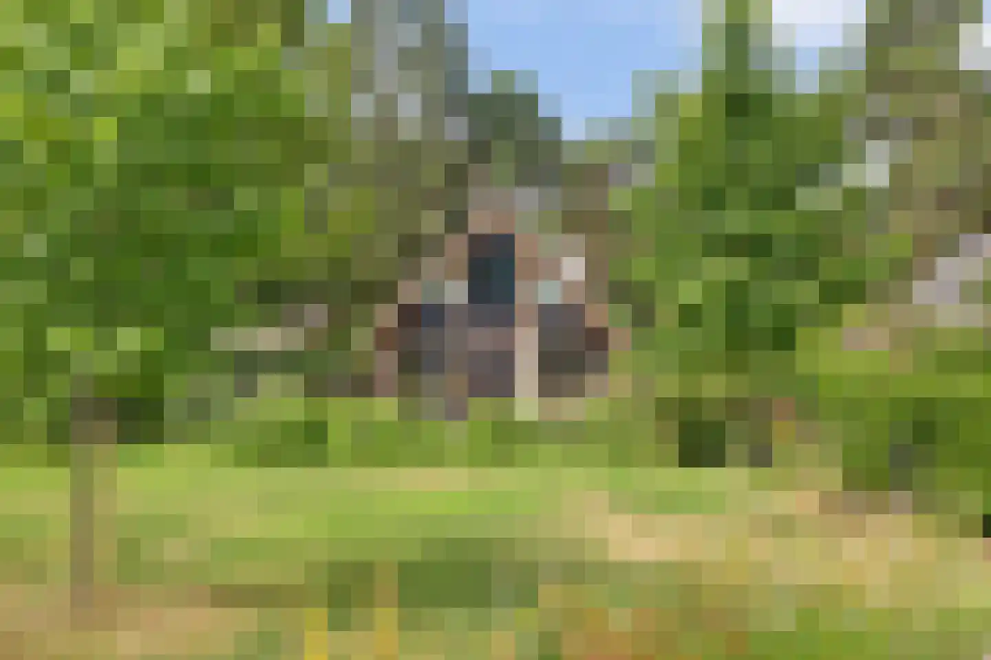 Vordenseweg 6 H557 Lochem thumbnail 24
