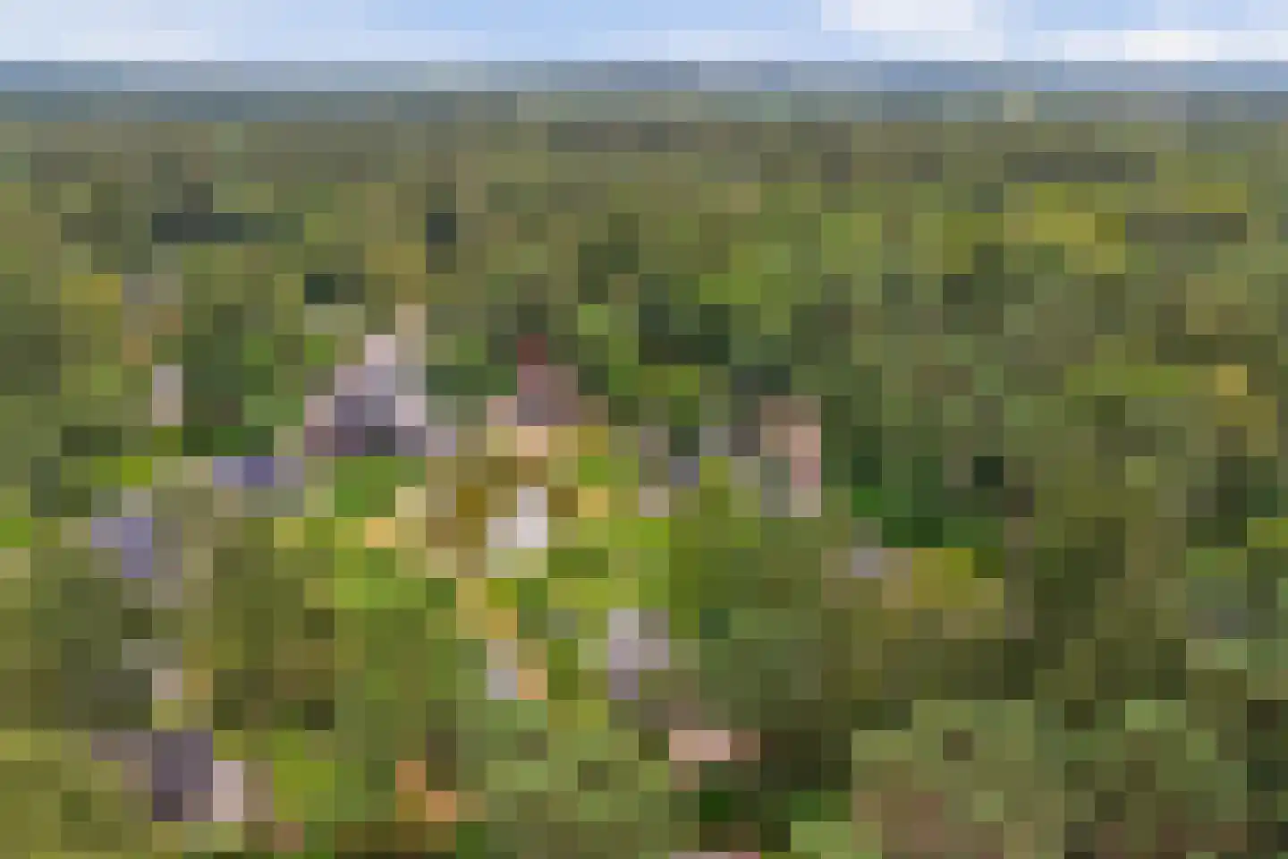 Vordenseweg 6 H557 Lochem thumbnail 29
