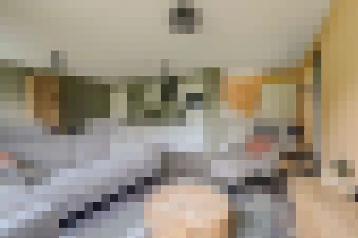 Vordenseweg 6 H557 Lochem thumbnail 9