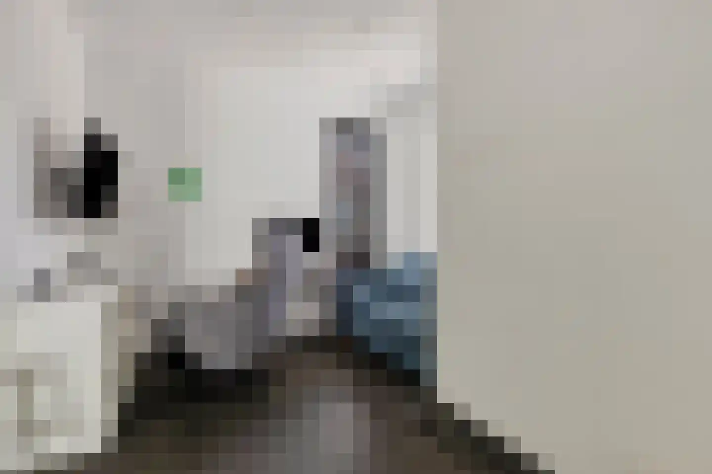 Vordenstraat 15 Tilburg thumbnail 18