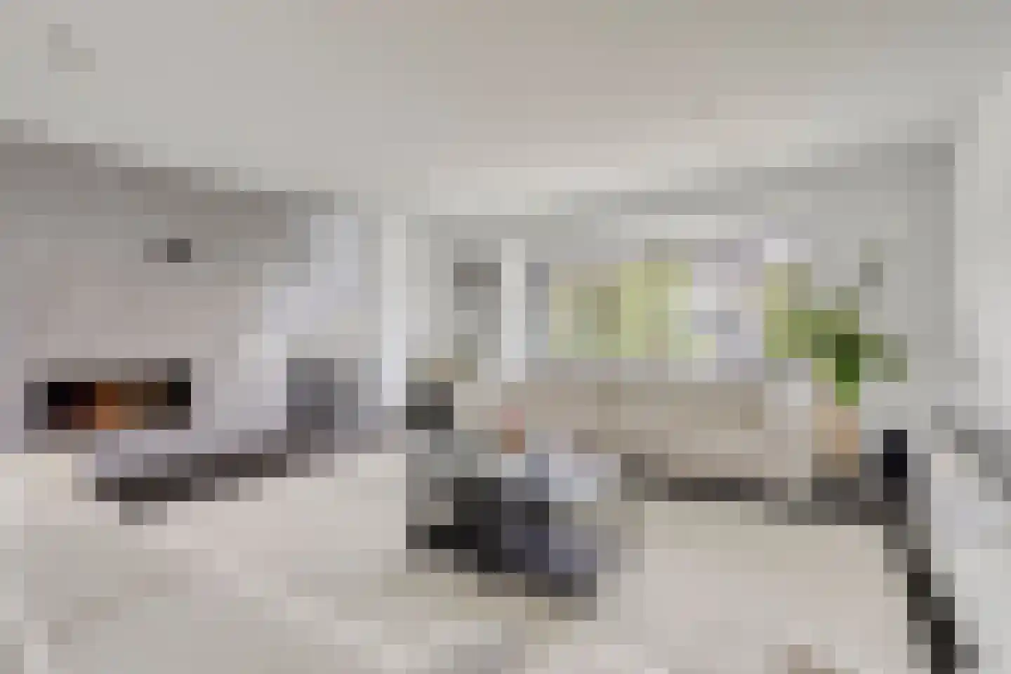Vordenstraat 15 Tilburg thumbnail 8