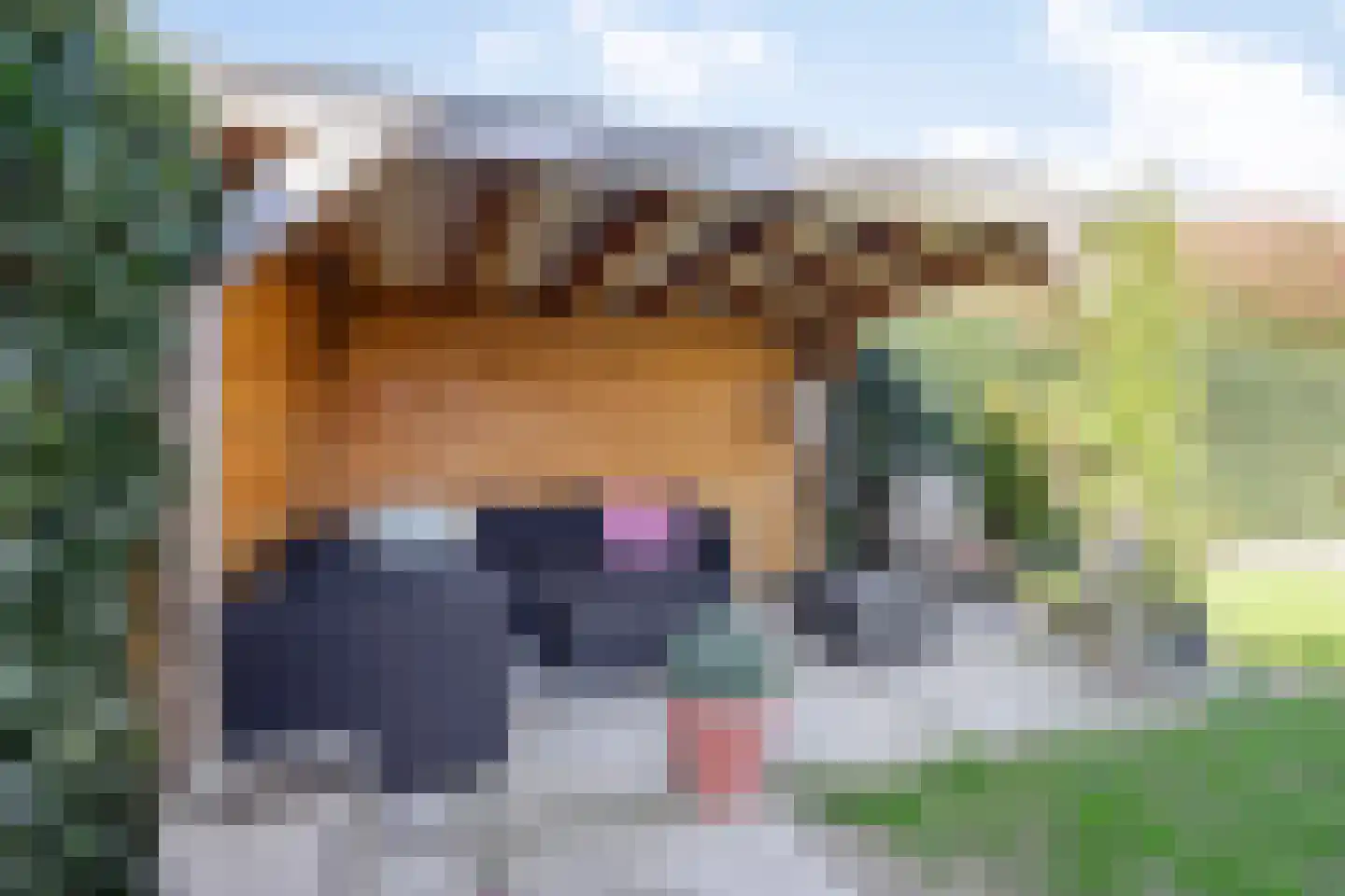 Vordenstraat 21 Tilburg thumbnail 39