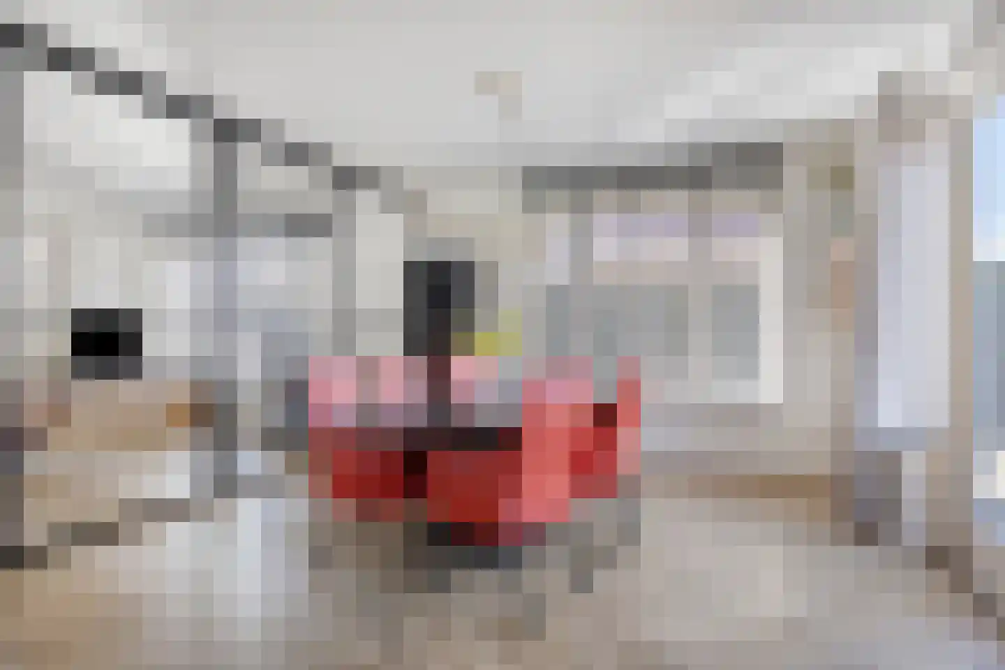 Vordenstraat 21 Tilburg thumbnail 8