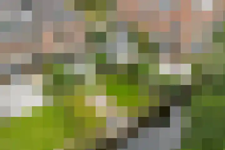 Vorenbroekstraat 69 Wassenaar thumbnail 6