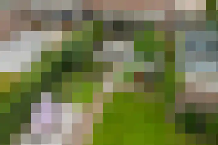Vorenbroekstraat 69 Wassenaar thumbnail 8