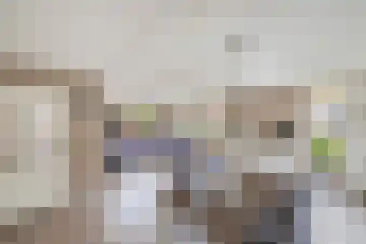Vorenpakker 11 Bant thumbnail 11
