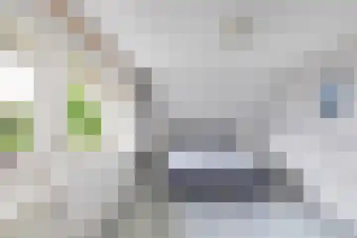 Vorenpakker 11 Bant thumbnail 20