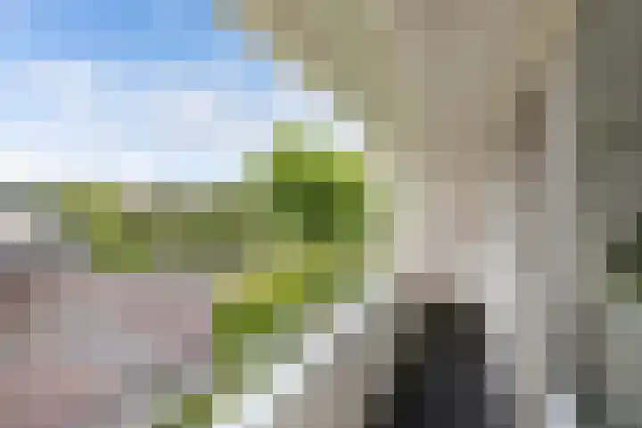 Vorenpakker 11 Bant thumbnail 21