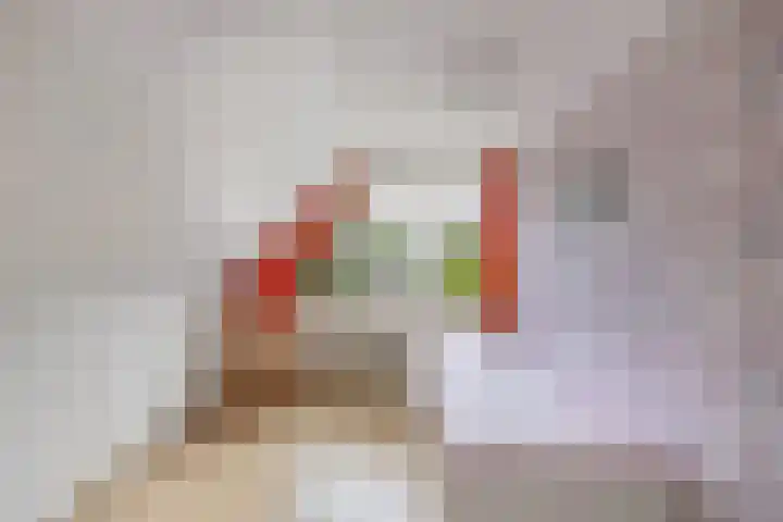 Vorenpakker 11 Bant thumbnail 24