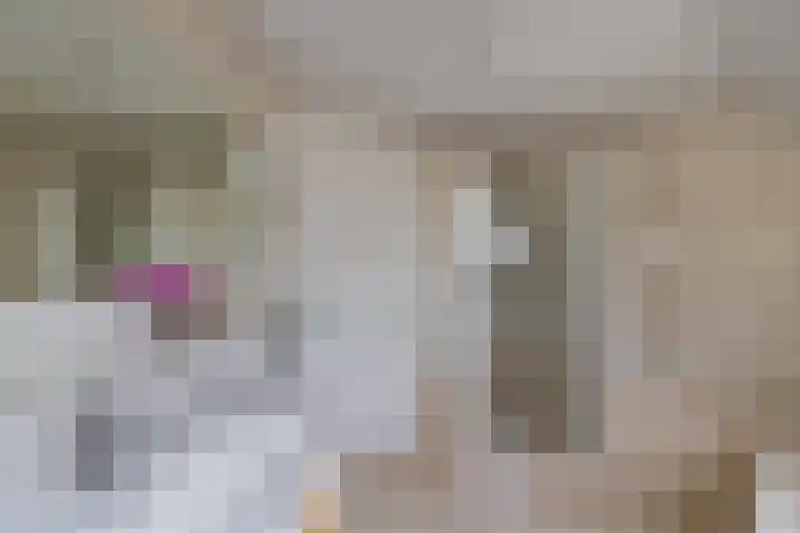 Vorenpakker 11 Bant thumbnail 30