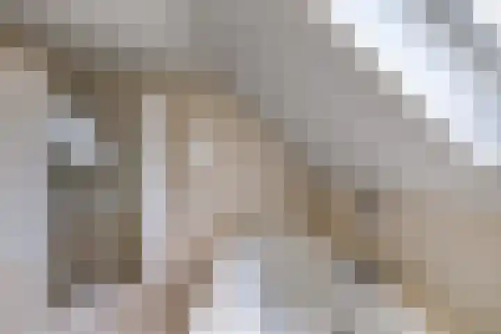 Vorenpakker 11 Bant thumbnail 31