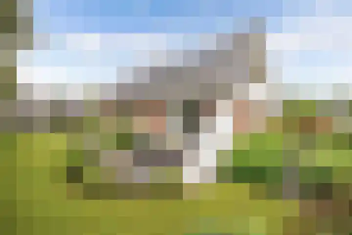 Vorenpakker 11 Bant thumbnail 32