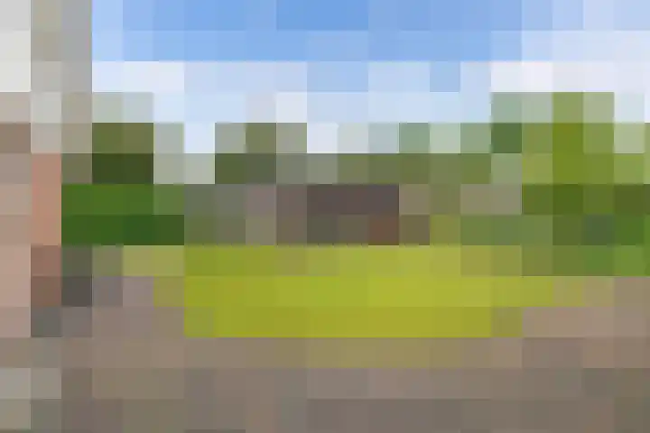 Vorenpakker 11 Bant thumbnail 34