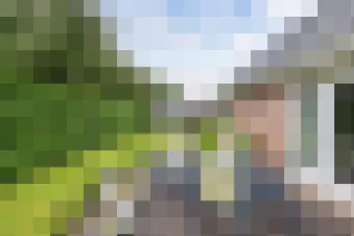 Vorenpakker 11 Bant thumbnail 38