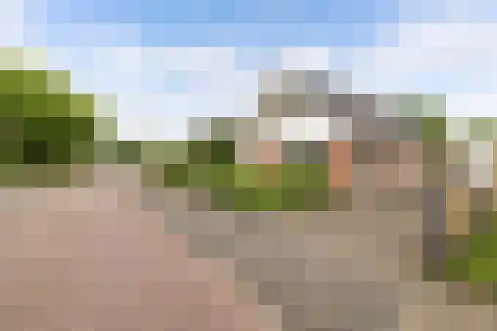 Vorenpakker 11 Bant thumbnail 42