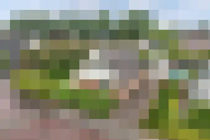 Vorenpakker 11 Bant thumbnail 44