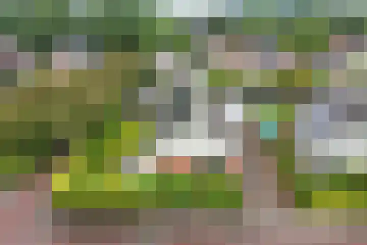 Vorenpakker 11 Bant thumbnail 45