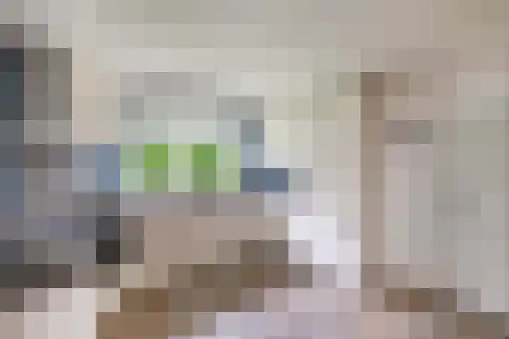 Vorenpakker 11 Bant thumbnail 5