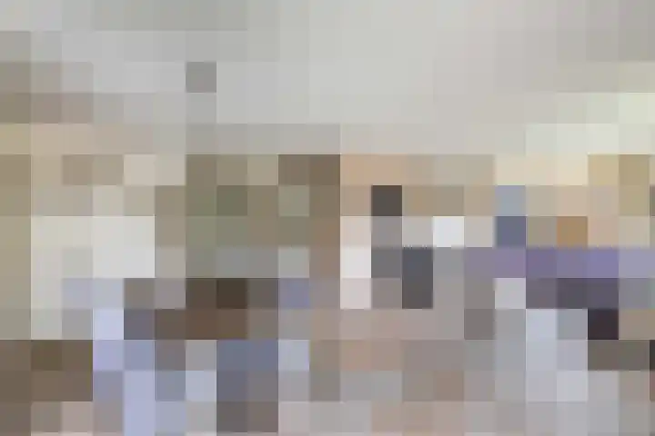 Vorenpakker 11 Bant thumbnail 8