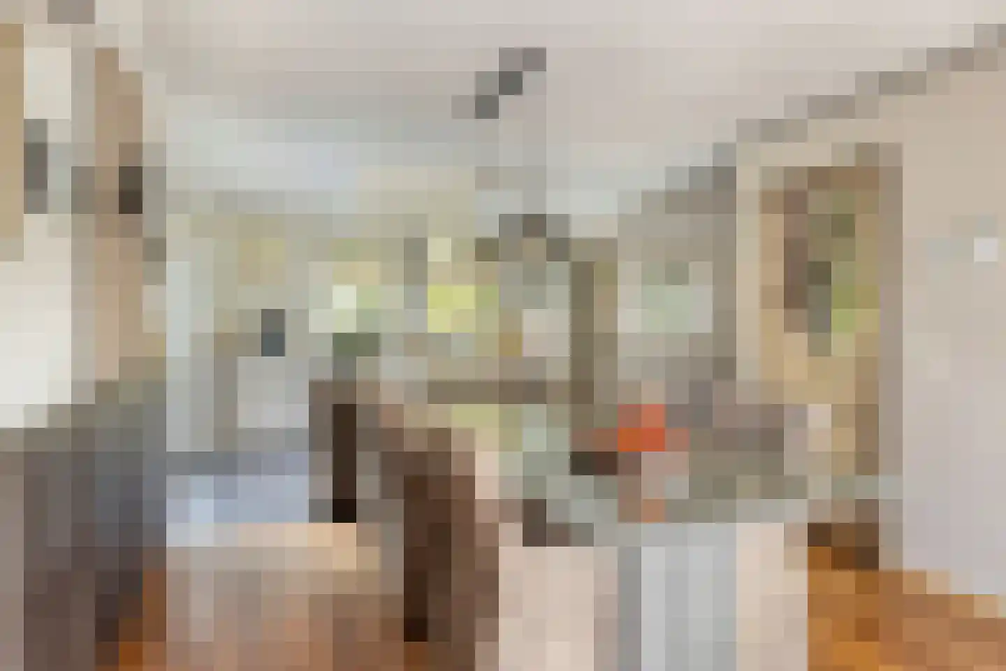 Vorenpakker 19 Bant thumbnail 11