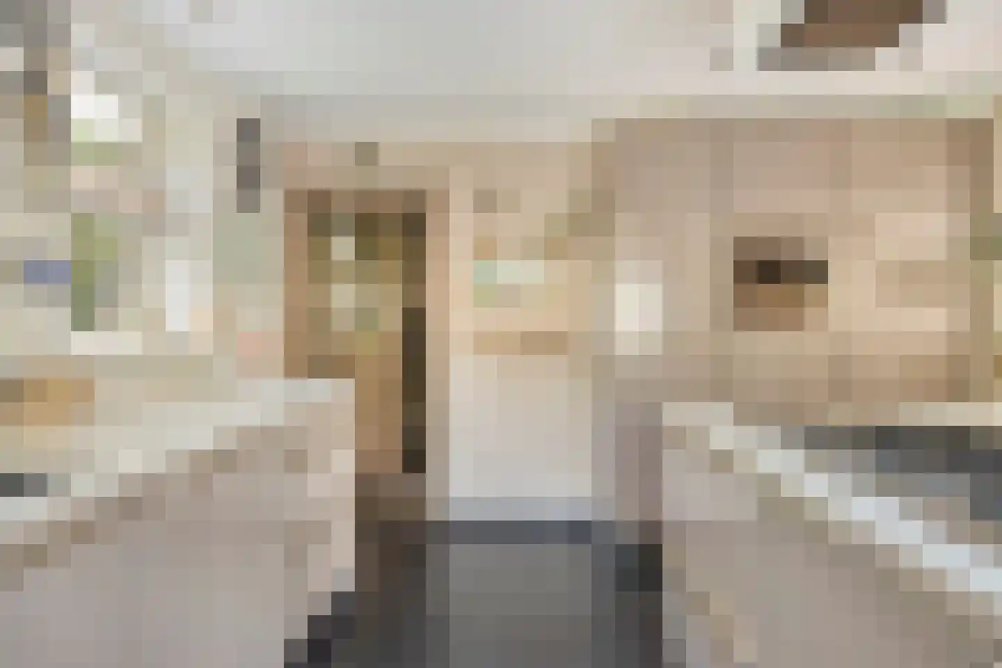 Vorenpakker 19 Bant thumbnail 12