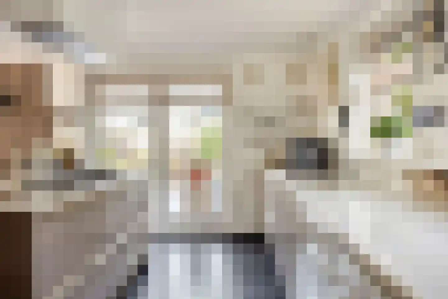 Vorenpakker 19 Bant thumbnail 13