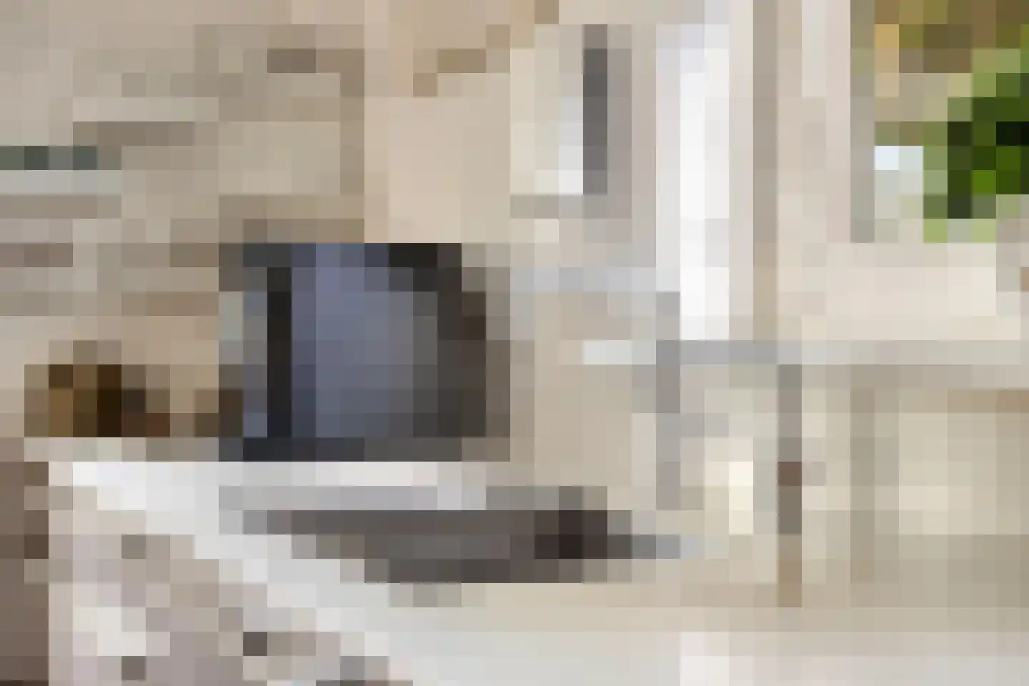 Vorenpakker 19 Bant thumbnail 14