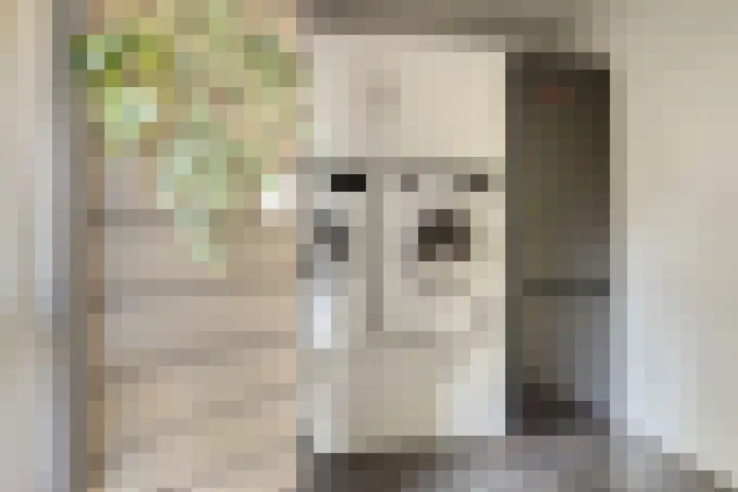 Vorenpakker 19 Bant thumbnail 15