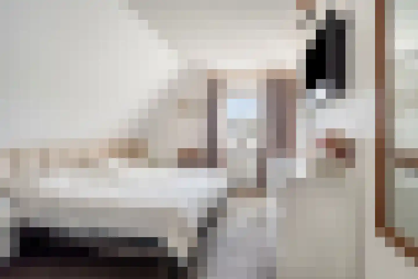 Vorenpakker 19 Bant thumbnail 18